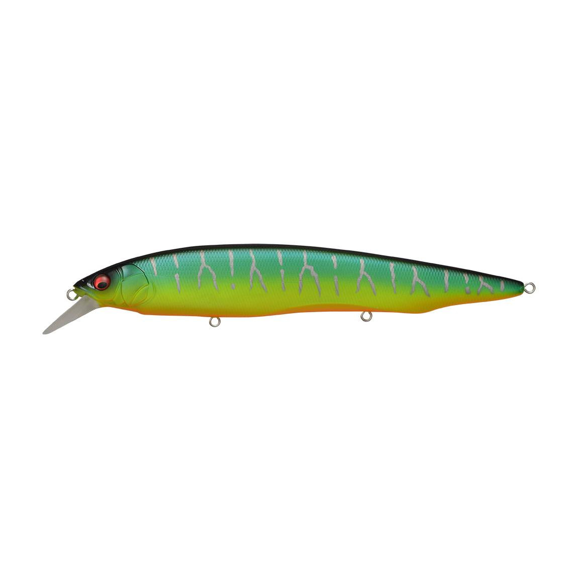 View of Jerkbait Megabass Kanata Jerkbait Mat Tiger available at EZOKO Fishing