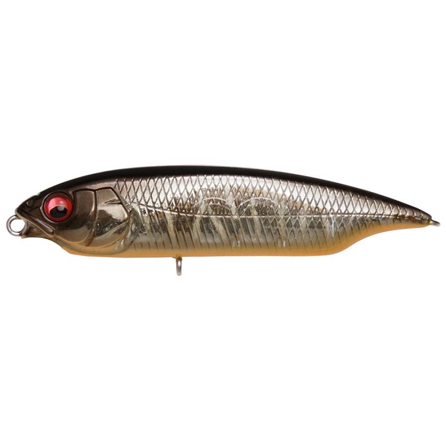 View of Topwater Megabass Karashi Twitch Bait Mg Tora Kinkuro available at EZOKO Fishing