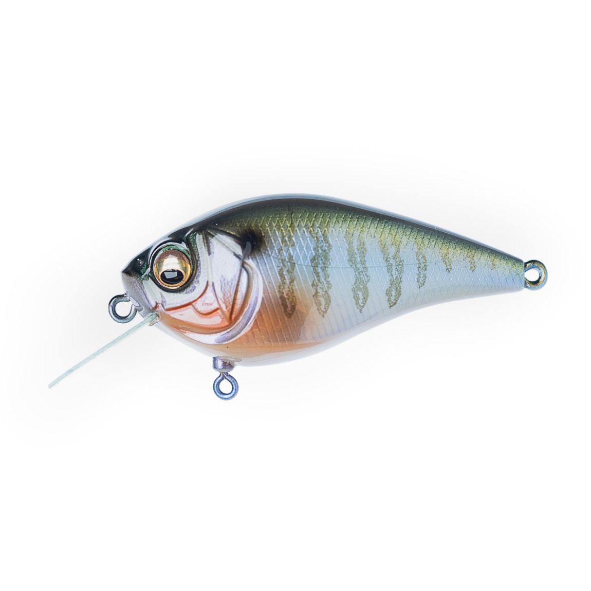 View of Crankbaits Megabass Knuckle LD Crankbait Secret Gill available at EZOKO Fishing