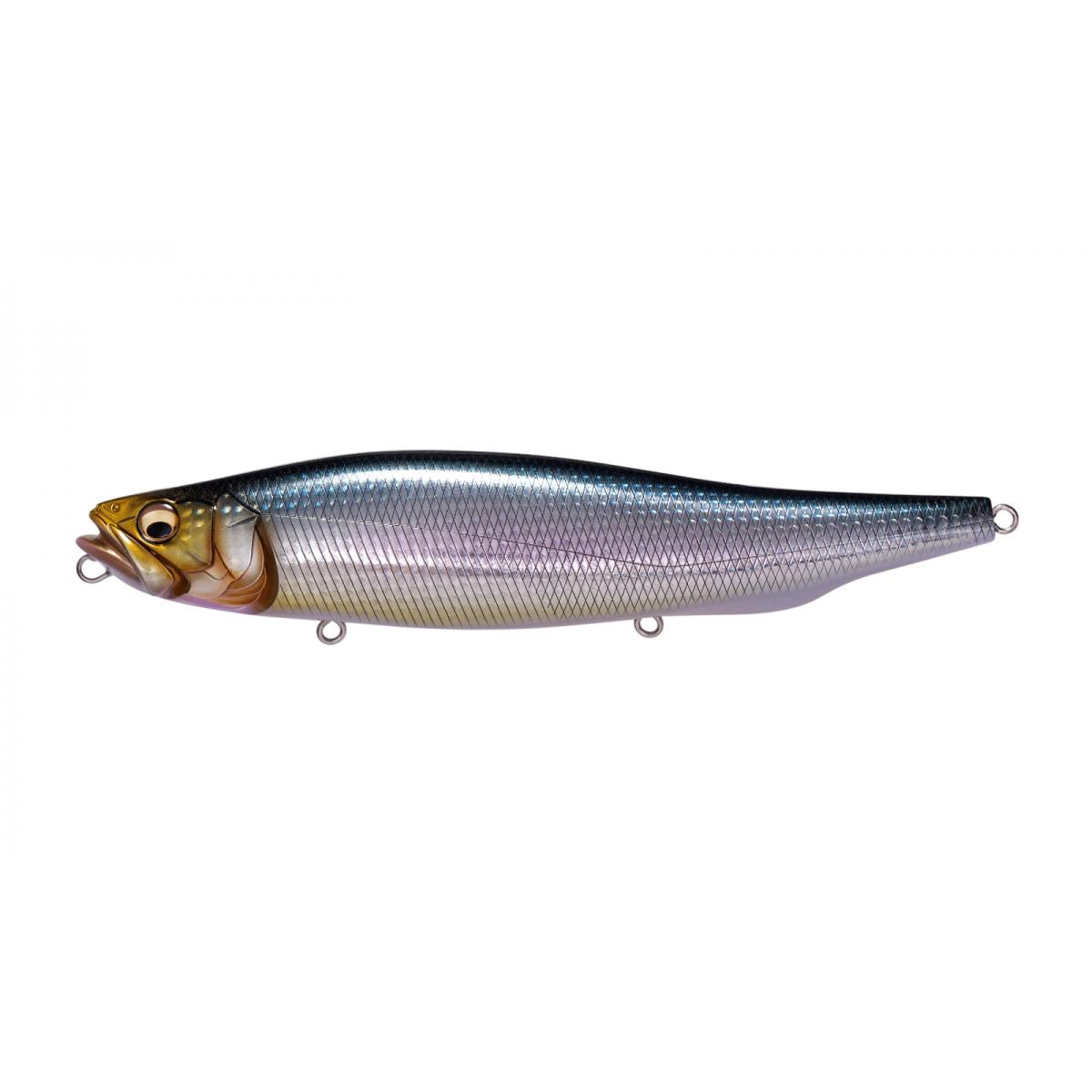 View of Topwater Megabass Megadog Topwater Iwashi available at EZOKO Fishing