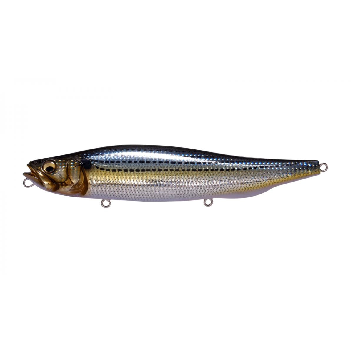 View of Topwater Megabass Megadog Topwater Konoshiro available at EZOKO Fishing