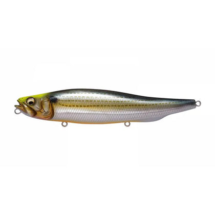 Urado Mullet