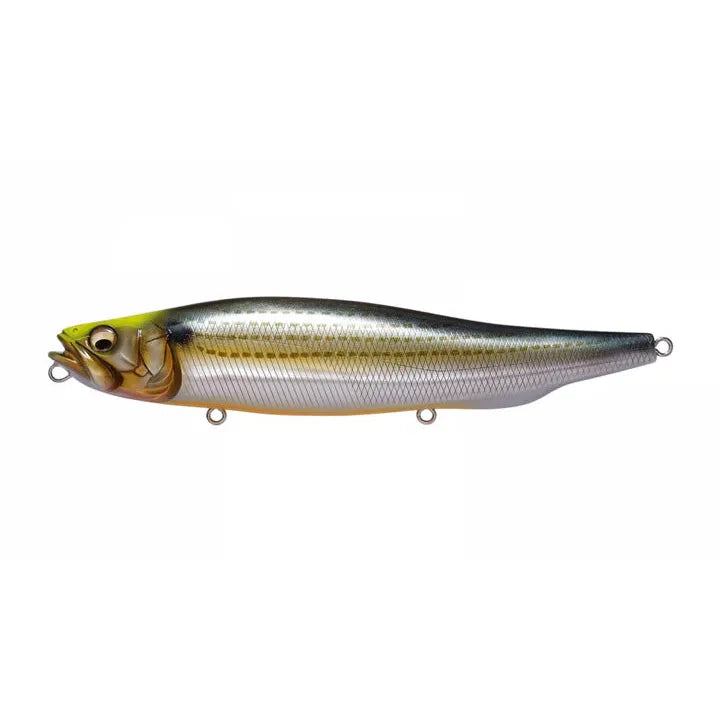View of Topwater Megabass Megadog Topwater Urado Mullet available at EZOKO Fishing