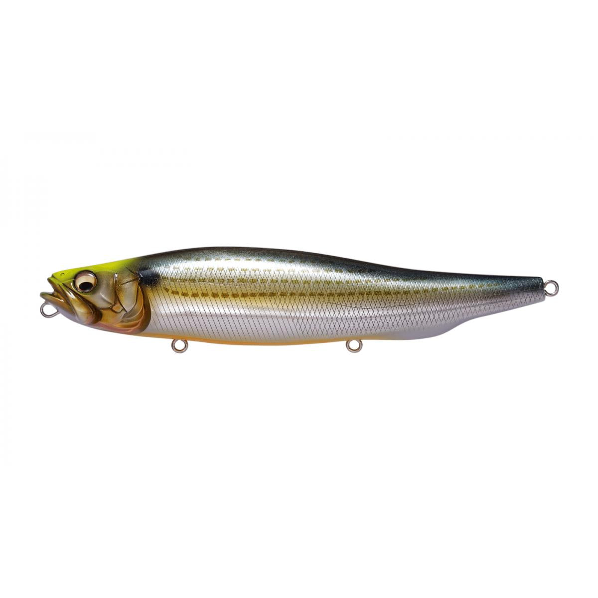 View of Topwater Megabass Megadog Topwater Wagin Konoshiro Indicator available at EZOKO Fishing