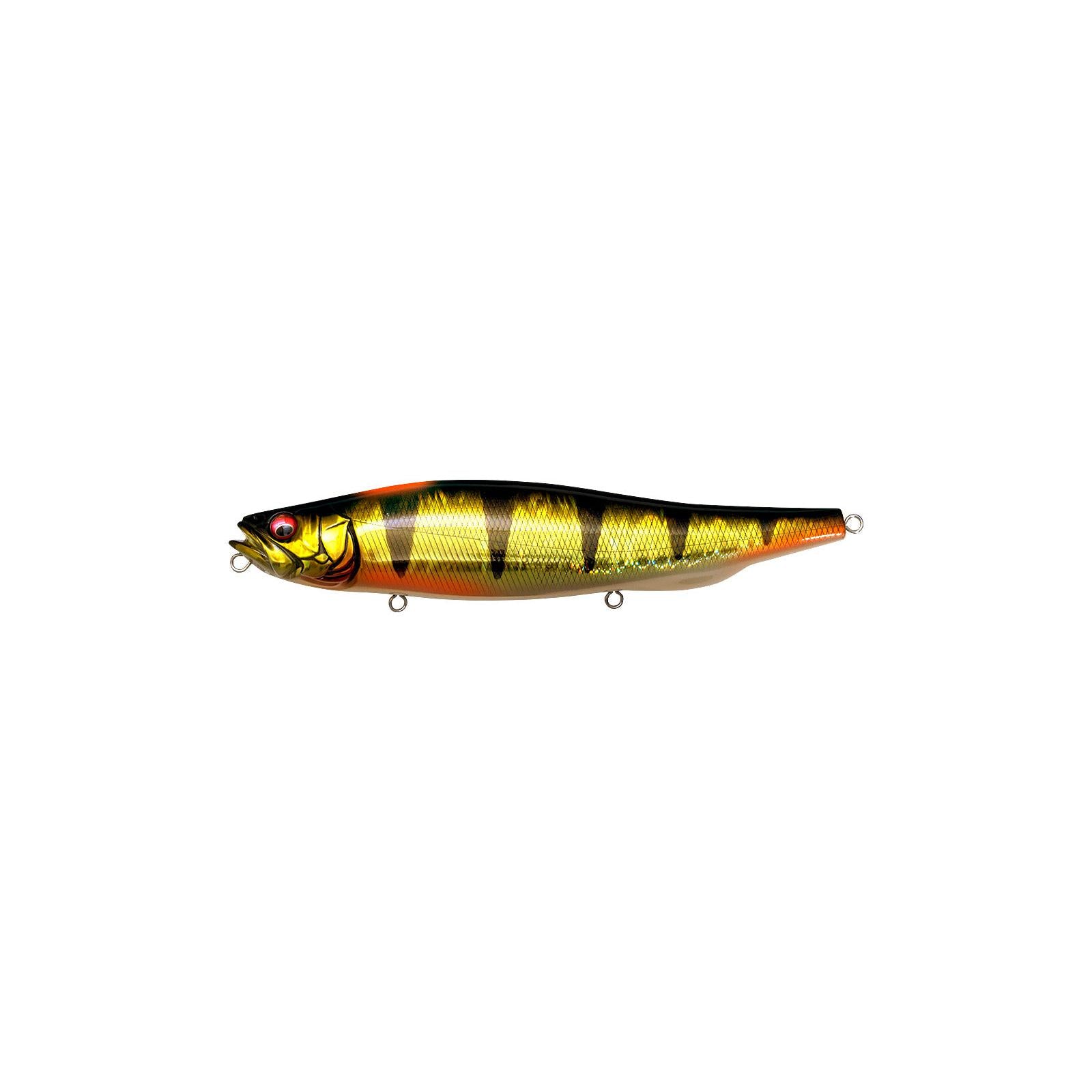 View of Topwater Megabass Megadog-X Topwater Gg Indicator Perch available at EZOKO Fishing