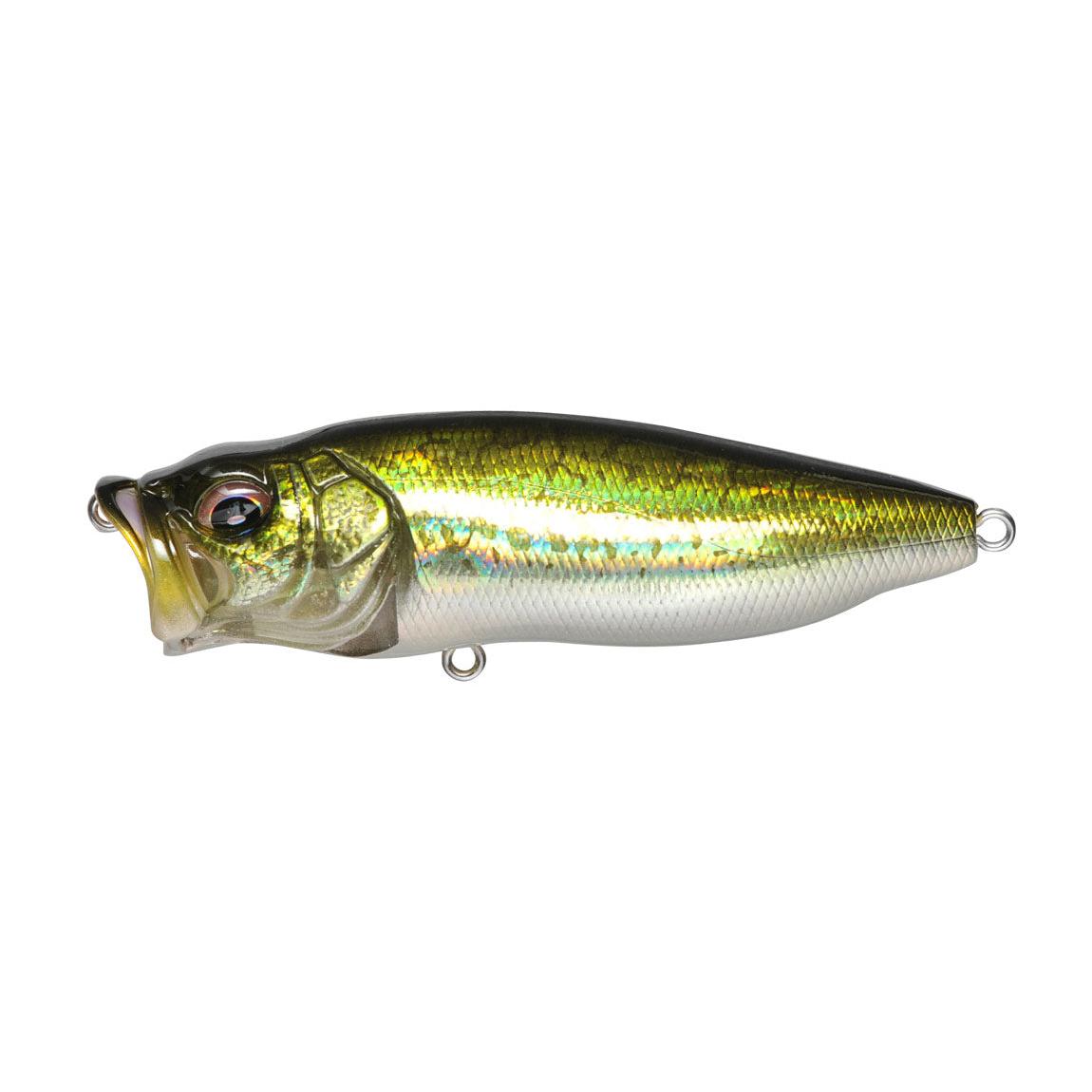 View of Topwater Megabass Popmax Popper Gg Bass available at EZOKO Fishing
