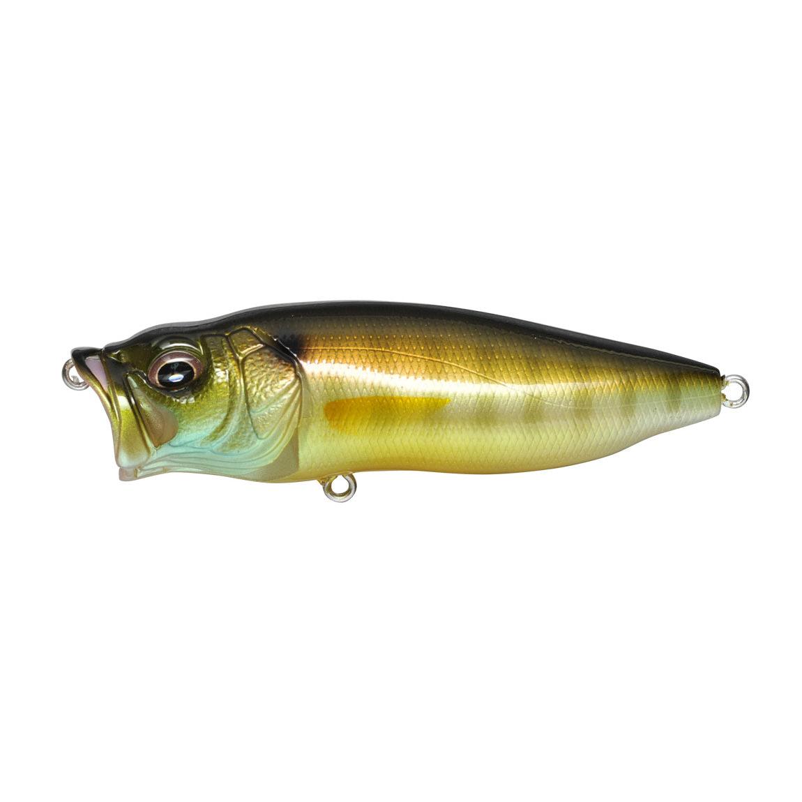 View of Topwater Megabass Popmax Popper Gill available at EZOKO Fishing