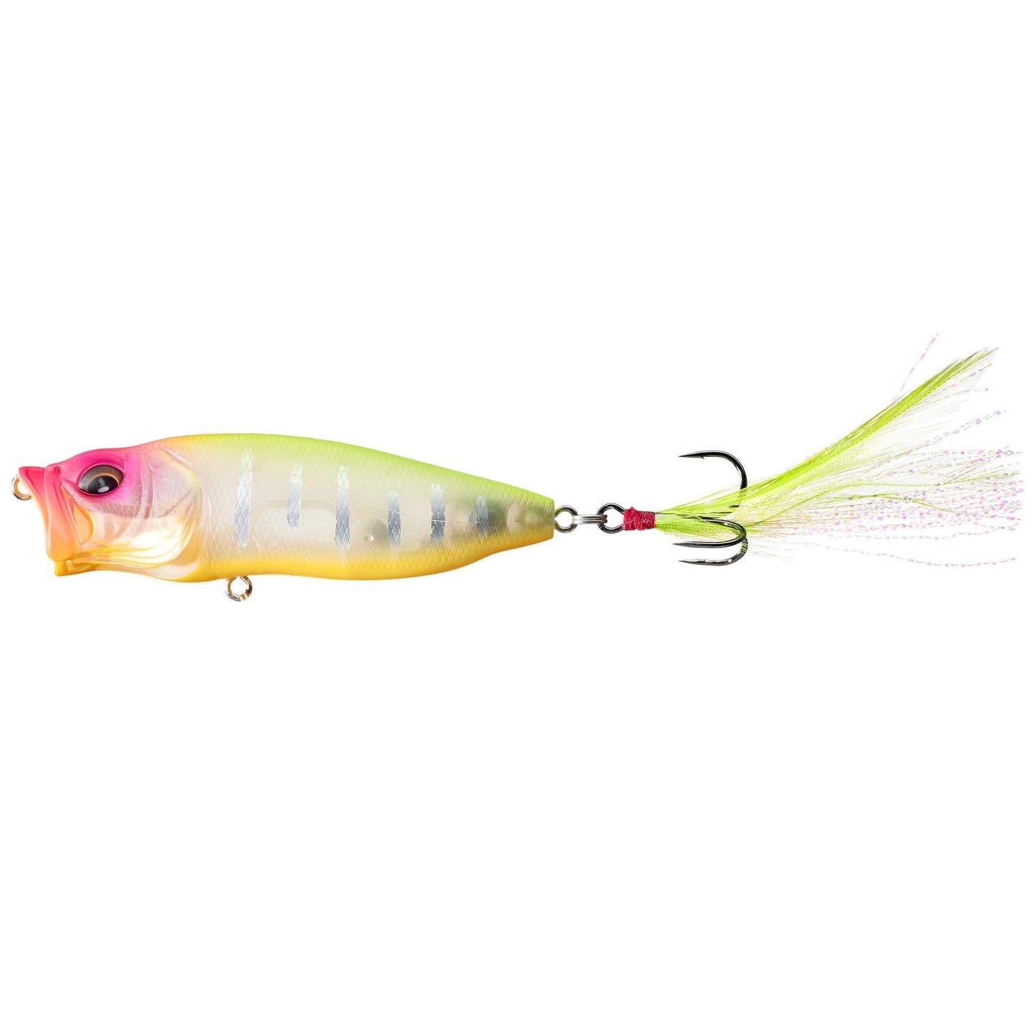 View of Topwater Megabass Popmax Popper IF Hachiro (Limited Color) available at EZOKO Fishing
