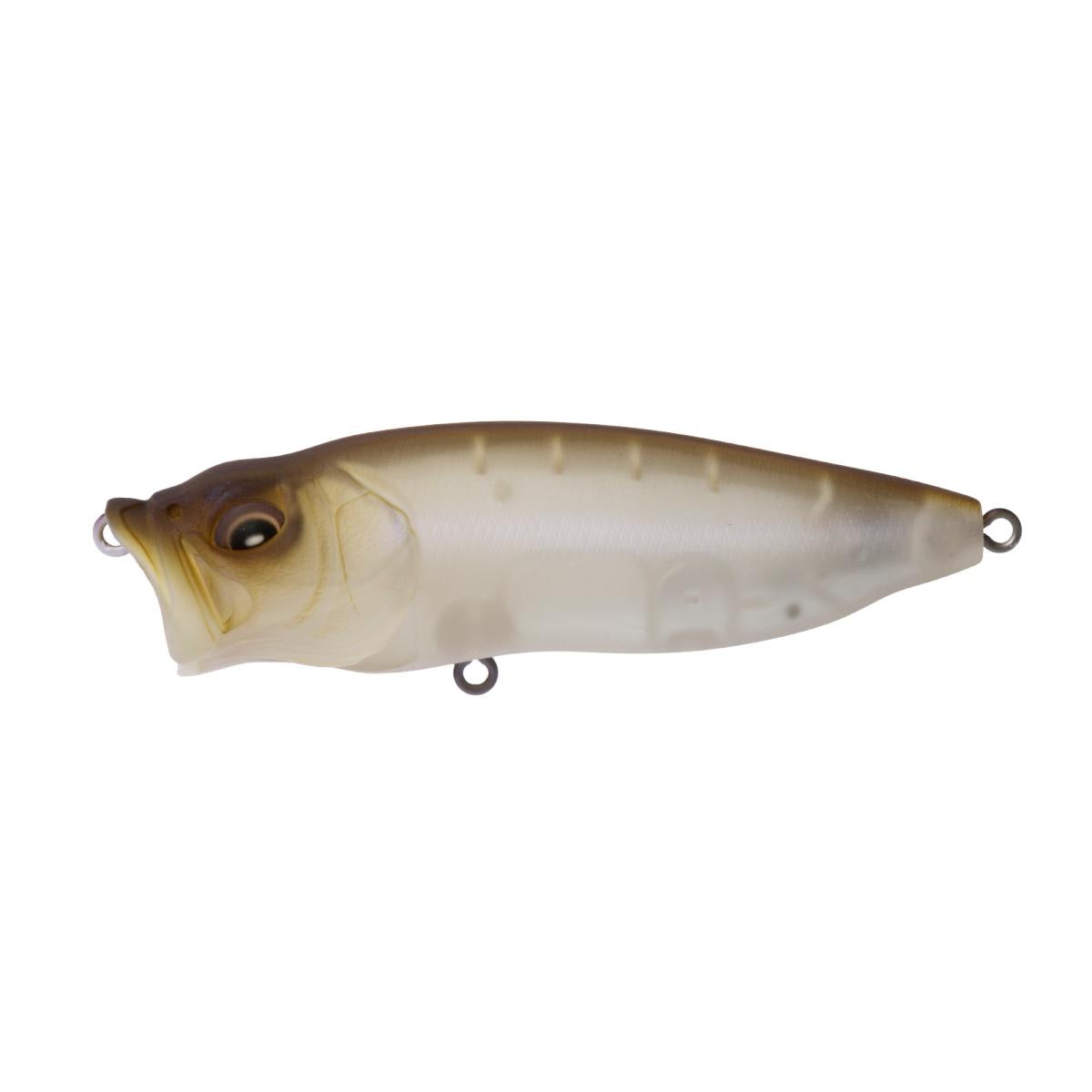 View of Topwater Megabass Popmax Popper Mat Shad available at EZOKO Fishing