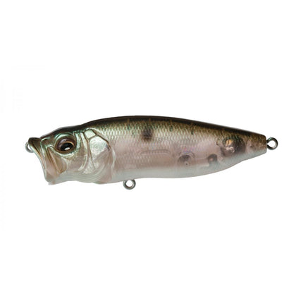 Mb Gizzard