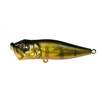 Gg Perch