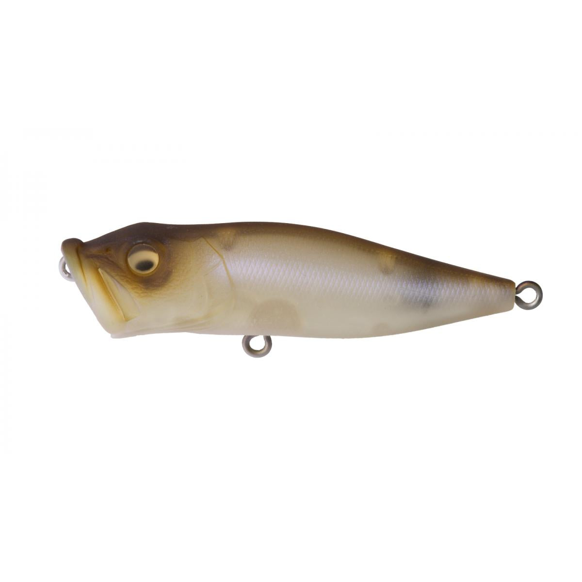 View of Topwater Megabass Popx Popper Popx Mat Shad available at EZOKO Fishing