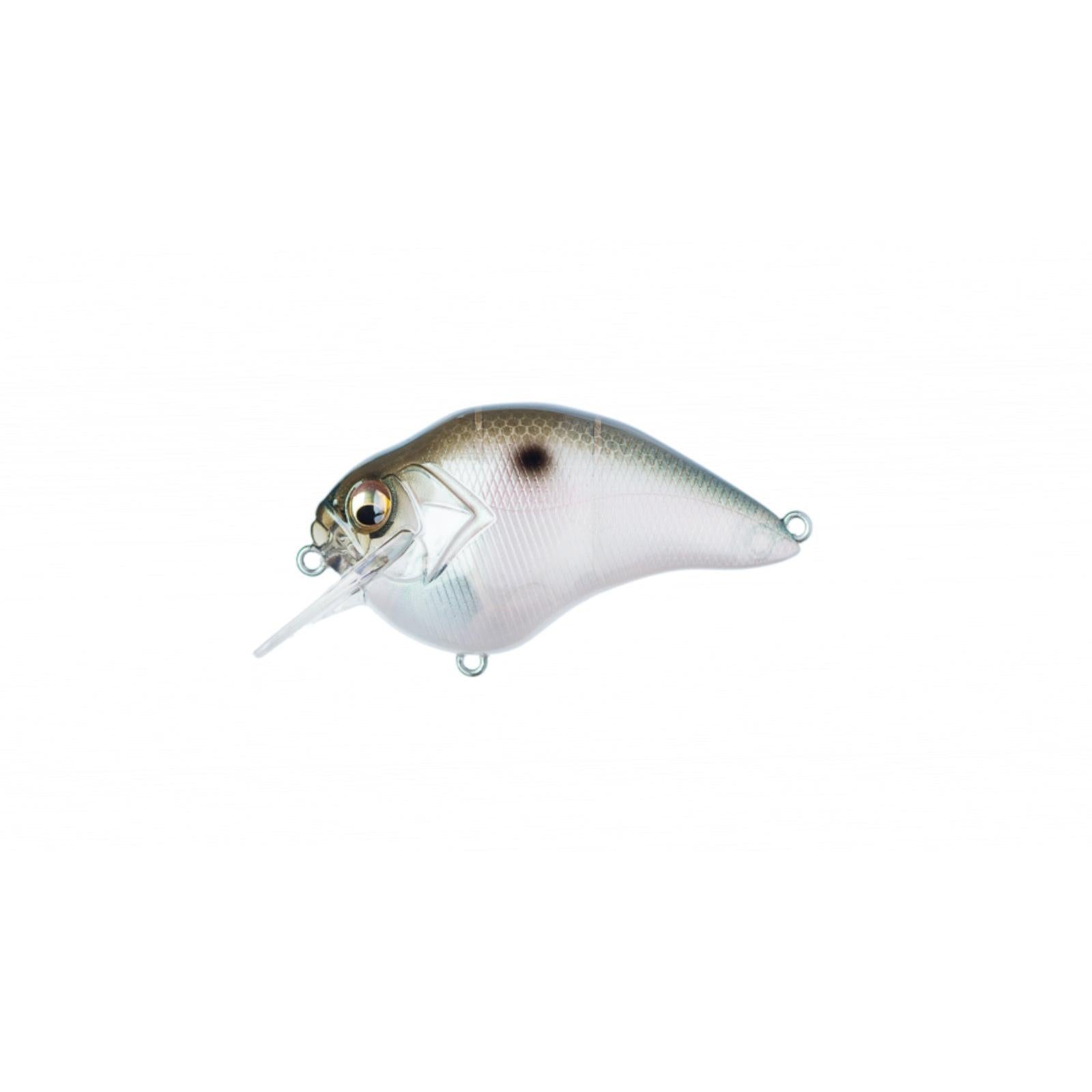 View of Crankbaits Megabass S-Crank 1.5 Squarebill Mb Gizzard available at EZOKO Fishing