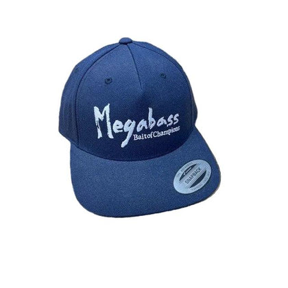 Brush Snapback - Navy/White