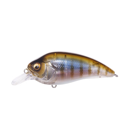 Gillkko