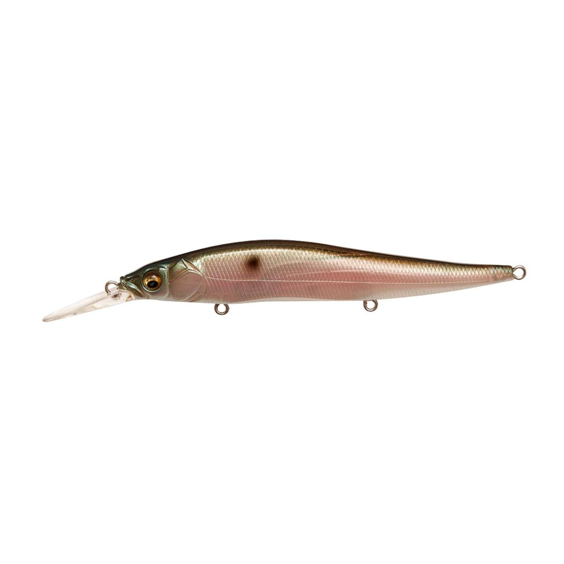 View of Jerkbait Megabass Vision Oneten +1 Jerkbait Mb Gizzard available at EZOKO Fishing