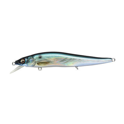 Gg Threadfin Shad