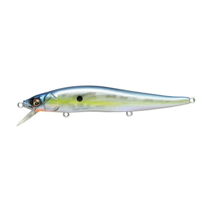 Gp Sexy Shad