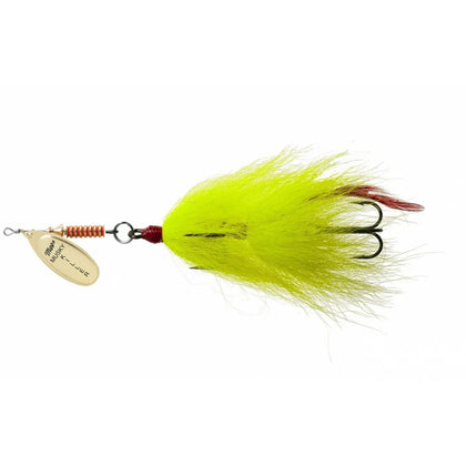 Gold / Yellow / Red Tail