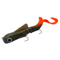 Glitteroil / Orange Tail