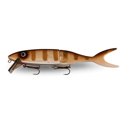 Walleye