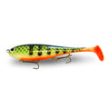 Orange Belly Perch