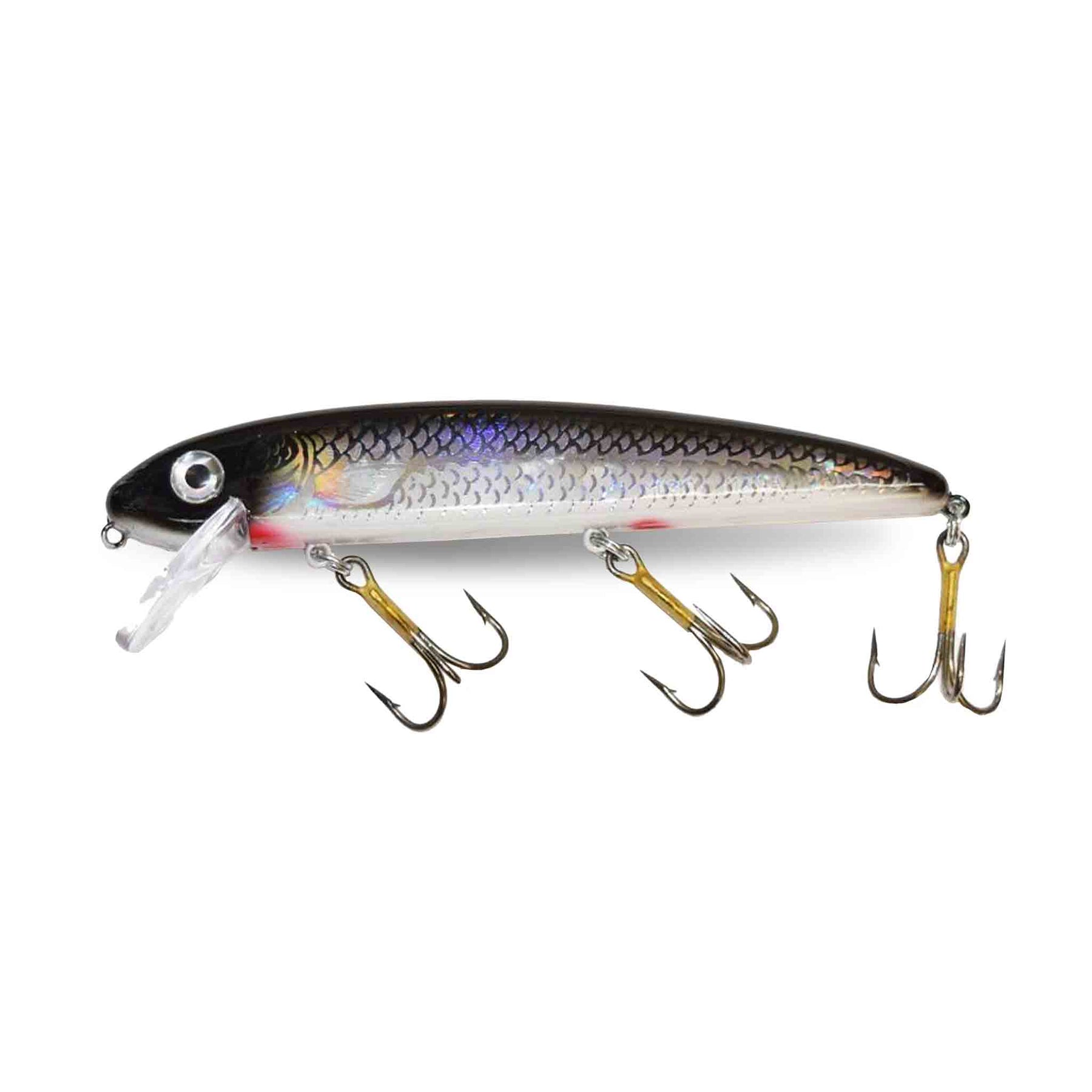 View of Crankbaits Musky Mania Tackle Jake 10'' Crankbait Sliver Shiner Holoform available at EZOKO Pike and Musky Shop