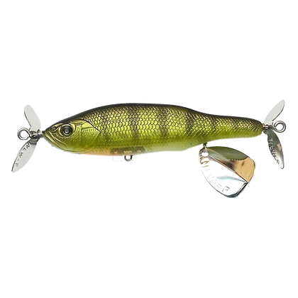 Yellow Perch