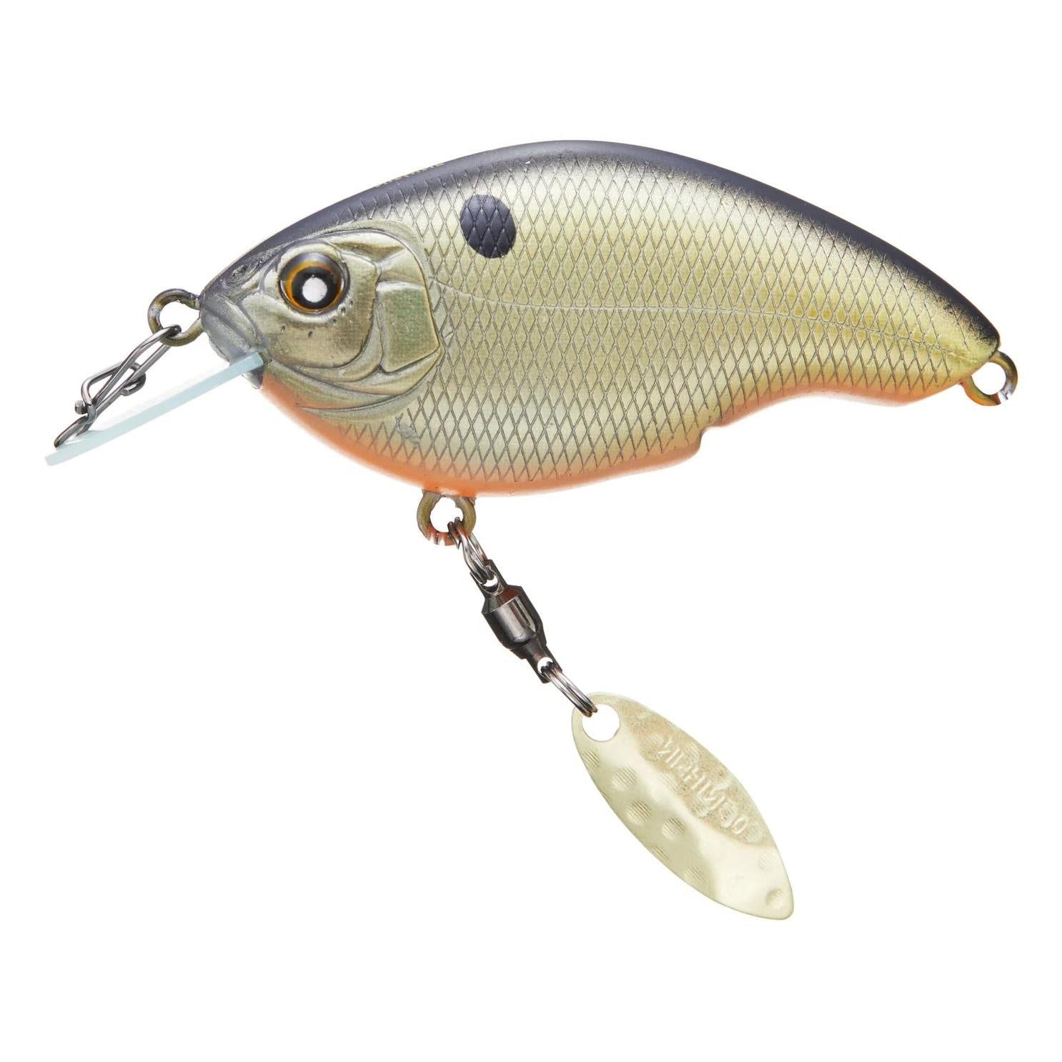 View of Crankbaits Nishine Lure Works Baby Chippawa RB Blade Crankbait Black Back Gold available at EZOKO Fishing