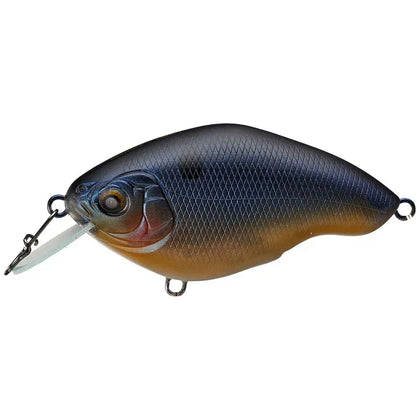 Black Shad