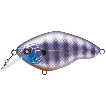 Blue Gill
