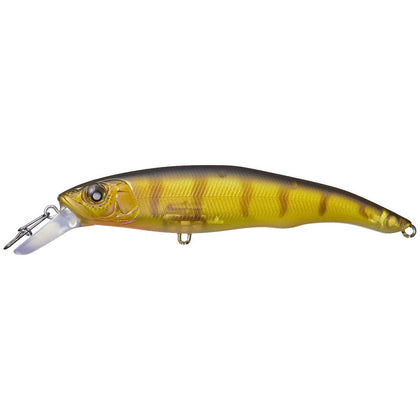 Yellow Perch