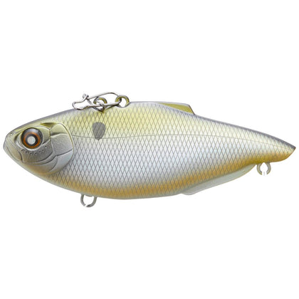 Hologram Shad