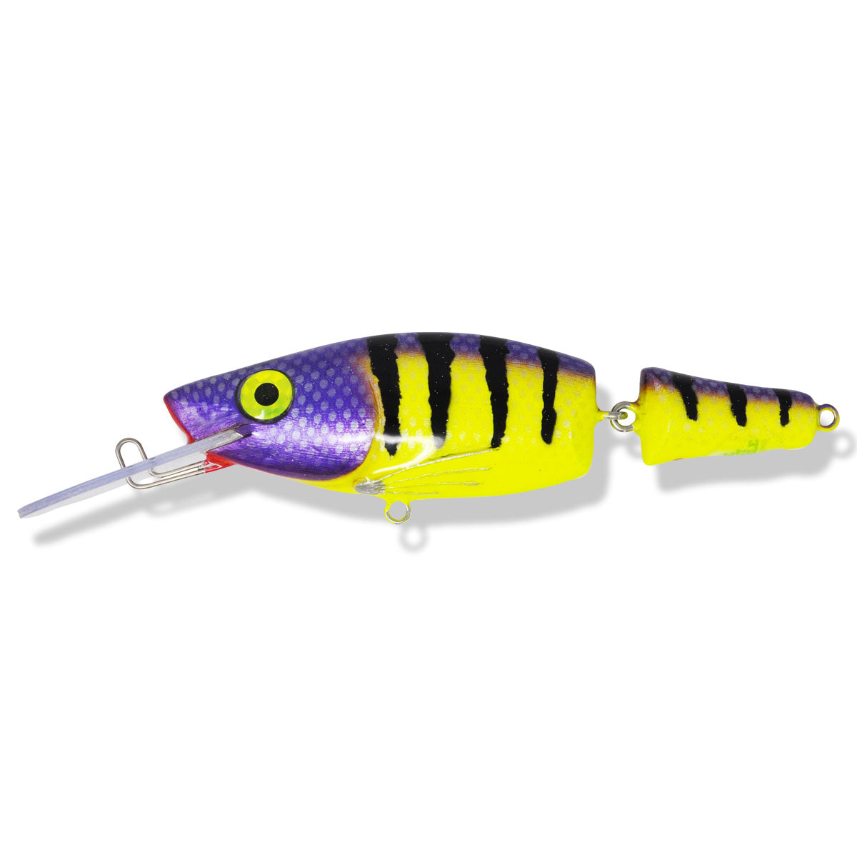 View of Crankbaits One Shot Tackle Jointed Perch 8" Crankbait Purple Tiger available at EZOKO Pike and Musky Shop