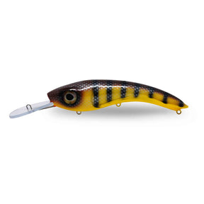 One Shot Tackle Perchosaurus 10'' St. Lawrence Perch / Orange Belly Crankbaits