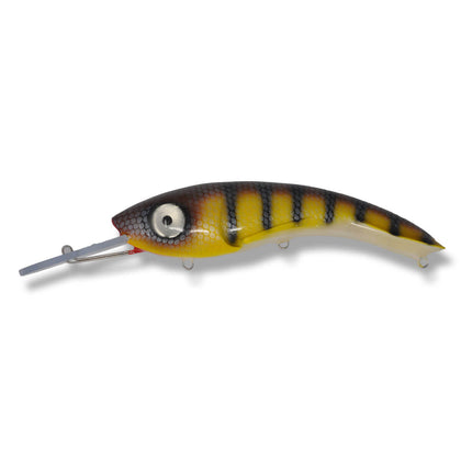 St. Lawrence Perch / White Belly