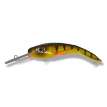 View of Crankbaits One Shot Tackle Perchosaurus 7" Crankbait St-Lawrence Perch White Belly available at EZOKO Pike and Musky Shop