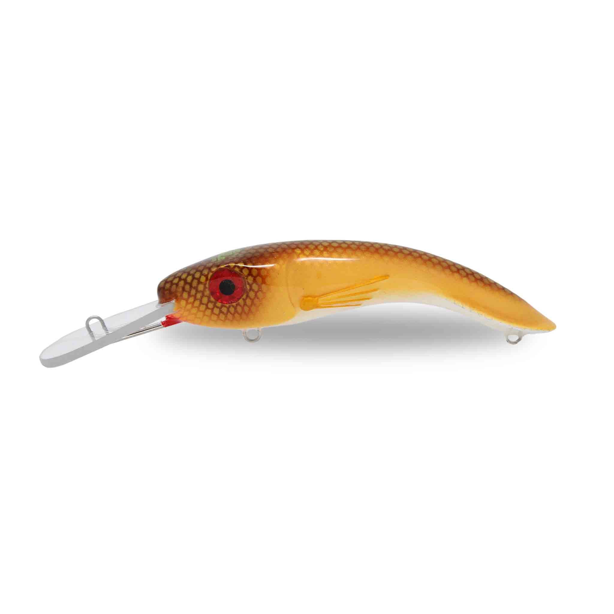 View of Crankbaits One Shot Tackle Perchosaurus 7" Crankbait Carp available at EZOKO Fishing