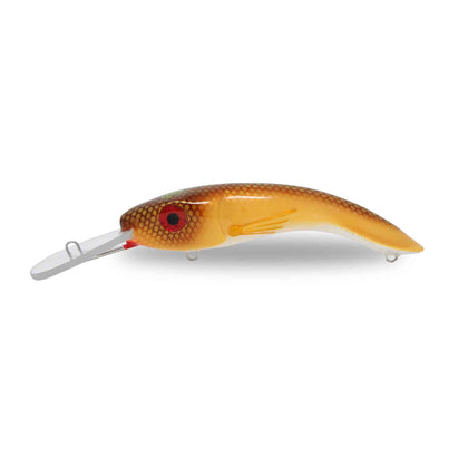 Carp