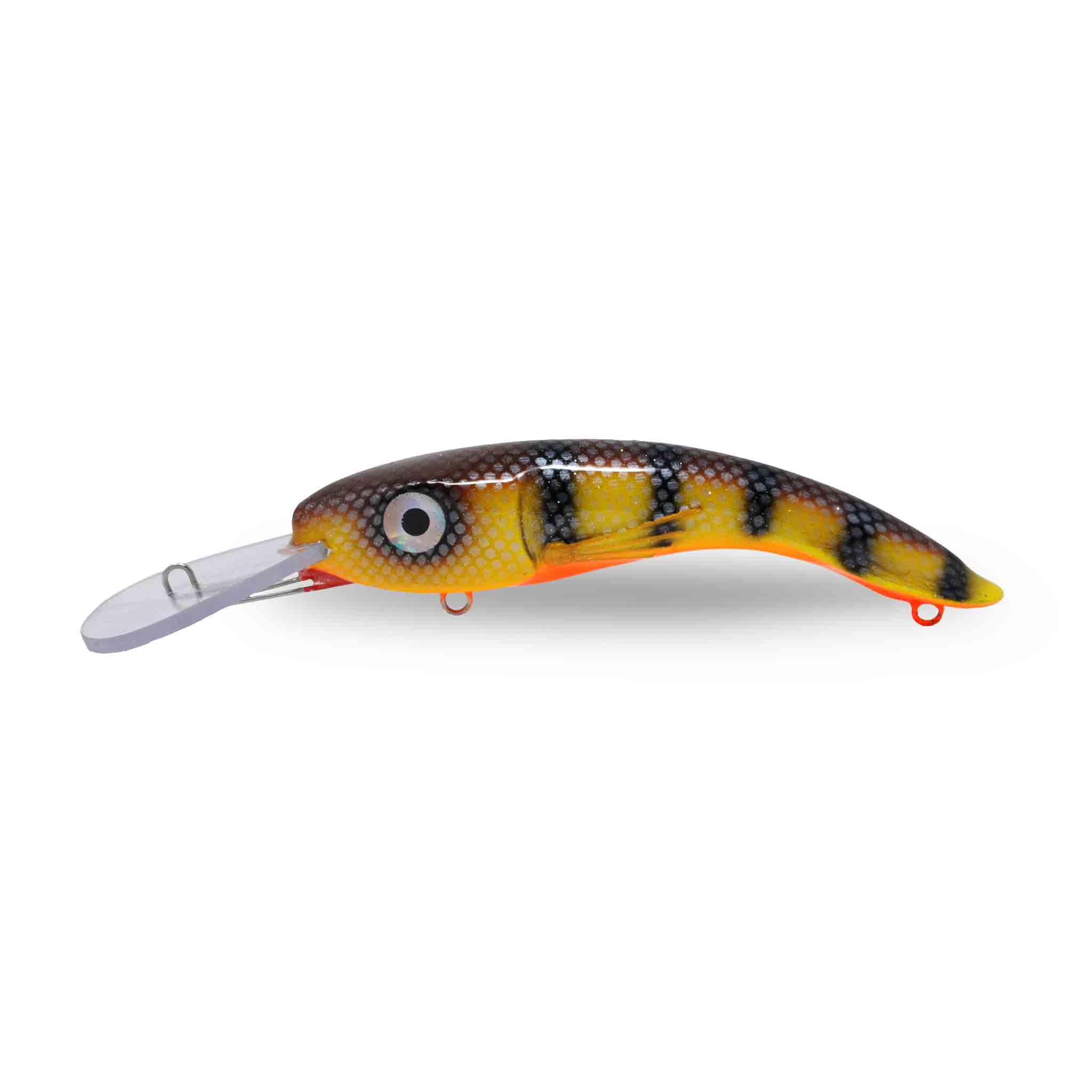 View of Crankbaits One Shot Tackle Perchosaurus 7" Crankbait St-Lawrence perch Orange Belly available at EZOKO Fishing