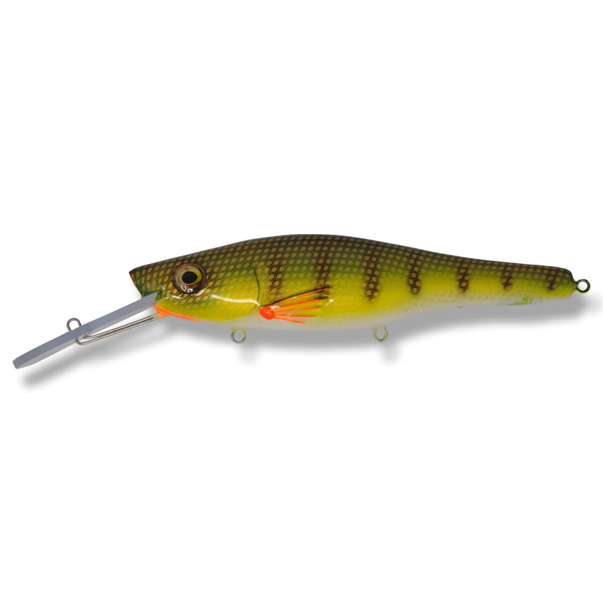 View of Crankbaits One Shot Tackle Straight Perch 10" Crankbait Perch / White Belly available at EZOKO Pike and Musky Shop