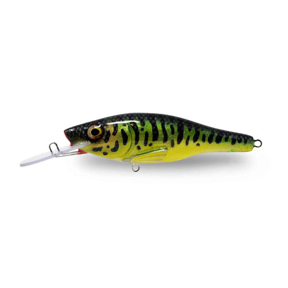 Baby Musky