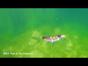 FishLab BBZ Swimbait