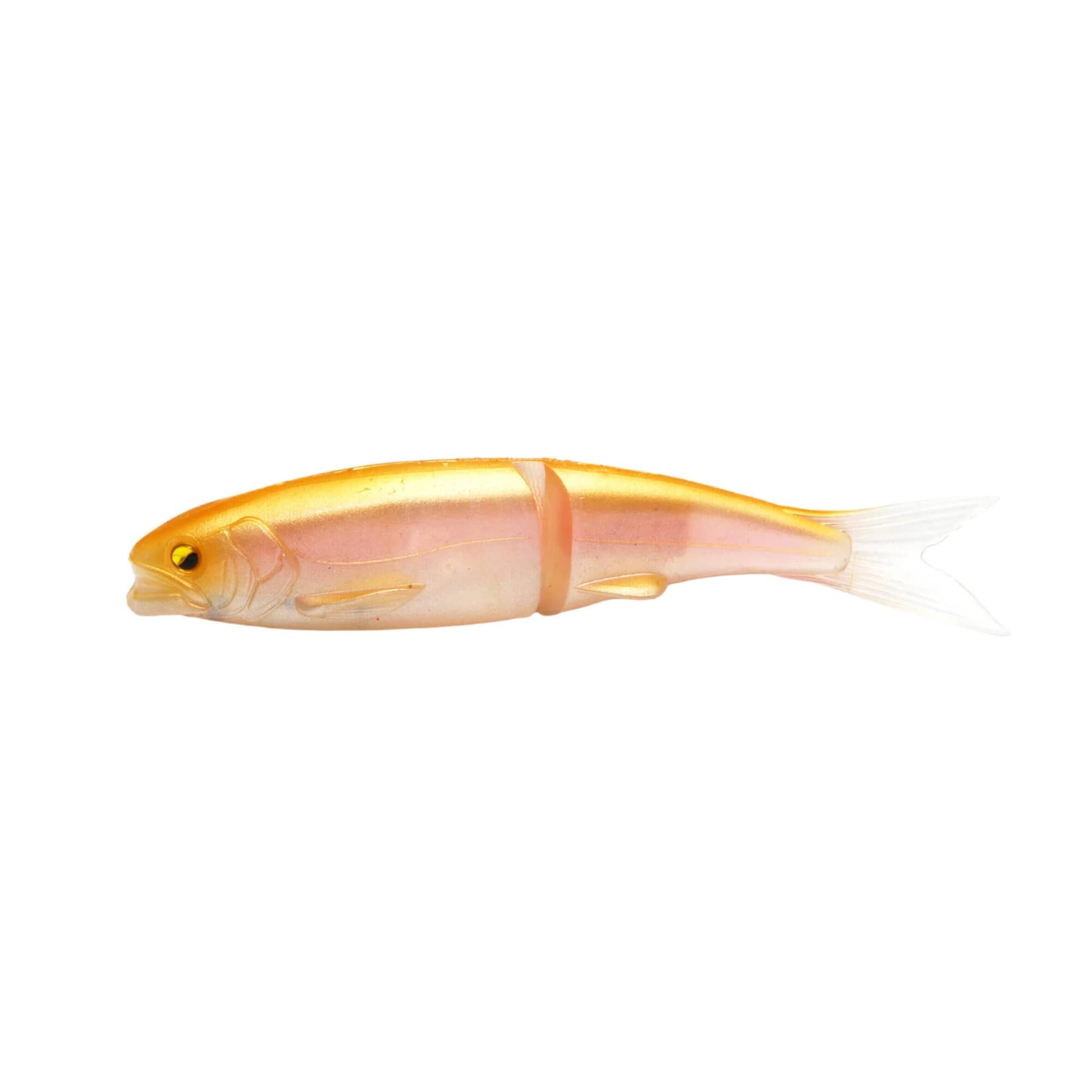 View of RAID Japan Osakana Slide 170 Golden Magic available at EZOKO Fishing
