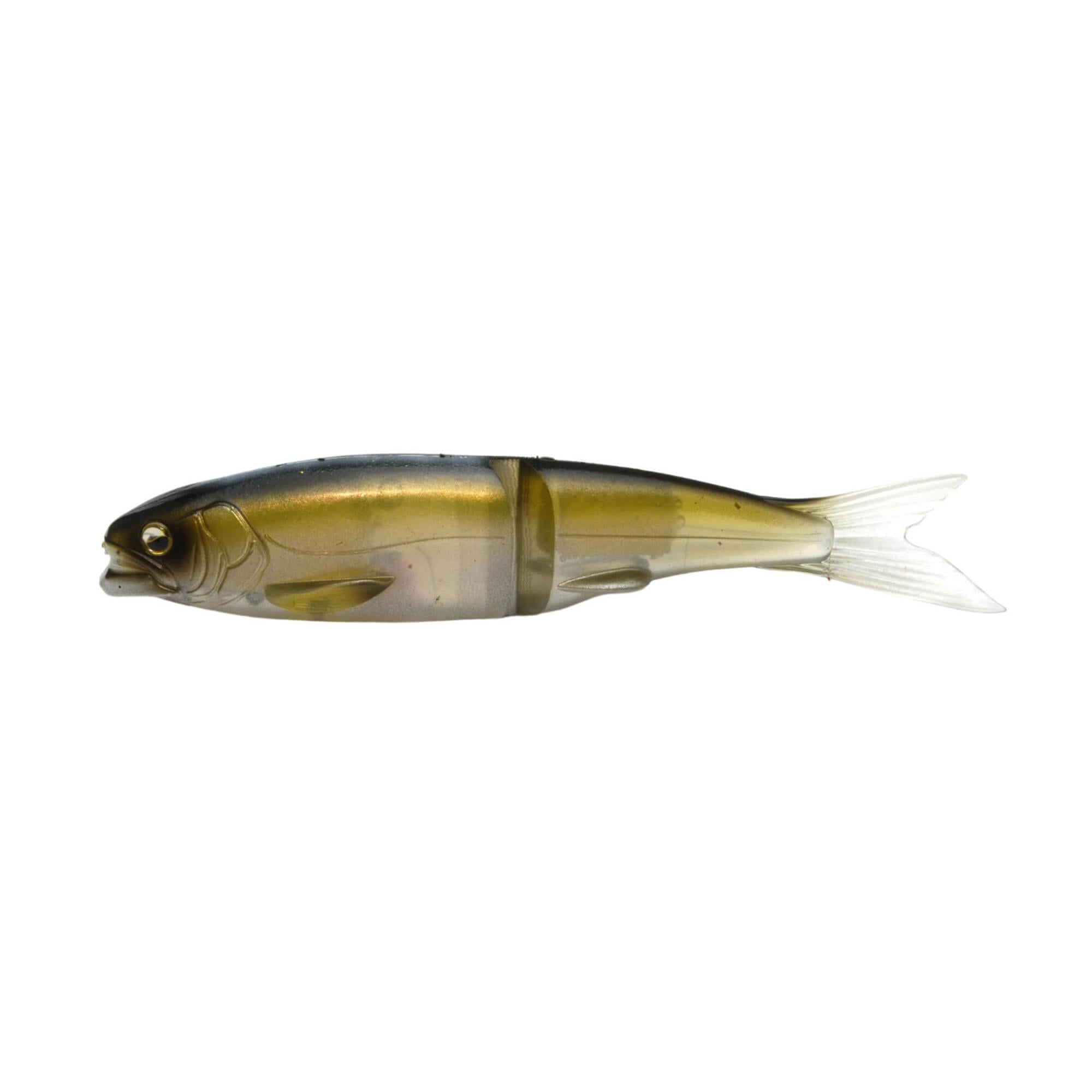 View of RAID Japan Osakana Slide 170 The Bait available at EZOKO Fishing