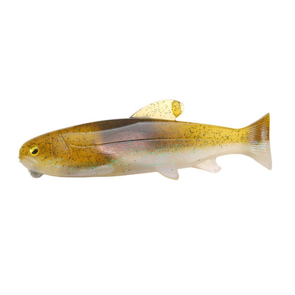 Sand Fish
