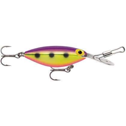 Walleye Wizard