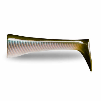 Smelt on the Beach