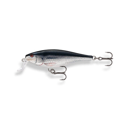 Silver Shiner