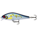 Scale Bait fish